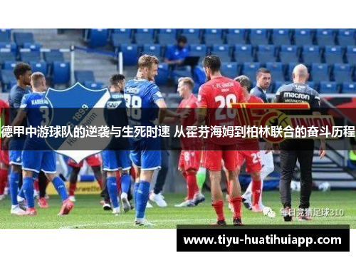 德甲中游球队的逆袭与生死时速 从霍芬海姆到柏林联合的奋斗历程