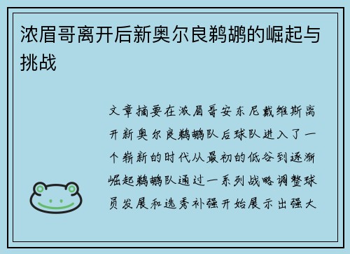 浓眉哥离开后新奥尔良鹈鹕的崛起与挑战