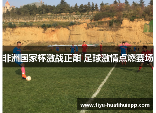 非洲国家杯激战正酣 足球激情点燃赛场